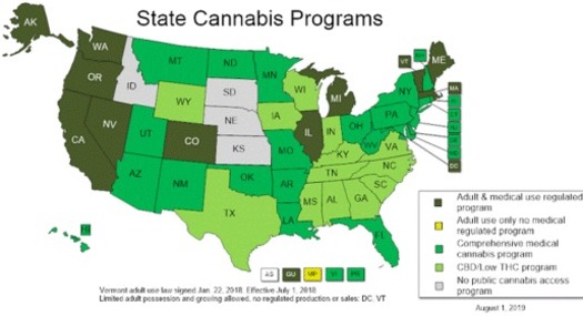 Possession of even a small amount of marijuana in South Dakota carries a potential penalty of a year in jail and a $2,000 fine. (National Conference of State Legislatures) 