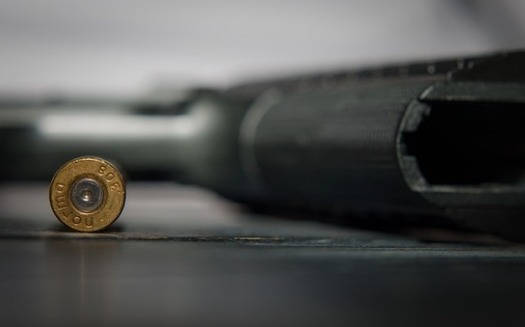 As Gov. Tony Evers calls a special session on gun control, both Assembly Speaker Robin Vos and Senate Majority Leader Scott Fitzgerald said Republicans would not take up bills that would infringe on constitutional rights to own guns. (Pixabay) 