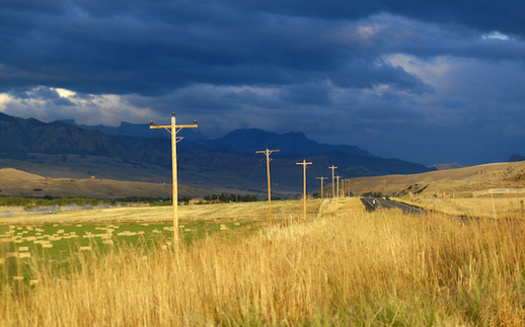 Montana has 25 electric cooperatives. One critic says co-op boards could be more representative of its members. (Guntherize/Adobe Stock)