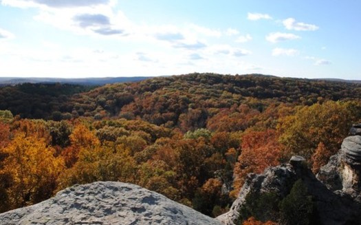 Illinois' Garden of the Gods in Shawnee National Forest is one of the few wild spots remaining in the state. (Forest Service Eastern Region/Flickr)