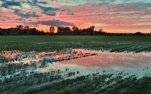 Ohio's farmers were challenged by an unusually wet spring. (Christian Collins/Flickr)