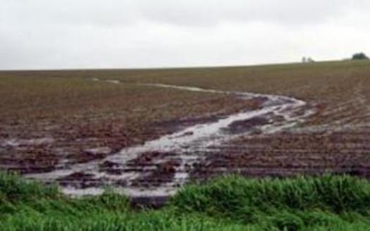 Advocates of conservation practices to control soil erosion and improve water quality say federal policy makers should do more to help farmers adopt these measures. (crops.extension.lastate.edu) 