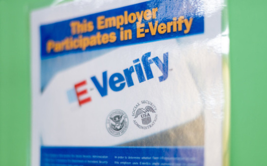 A bill creating a path to legal status for farmworkers would also require farms to adopt E-Verify, a controversial system used to check employment eligibility. (ablokhin/Adobe Stock)