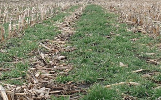 The 2018 farm bill increased the payment level for practices such as cover crops, advanced grazing management and resource-conserving crop rotations. (iowabeefcenter.org)