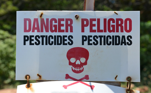 In 2016 the Environmental Protection Agency concluded that all uses of chlorpyrifos are unsafe. (hhendrix/Adobe Stock)