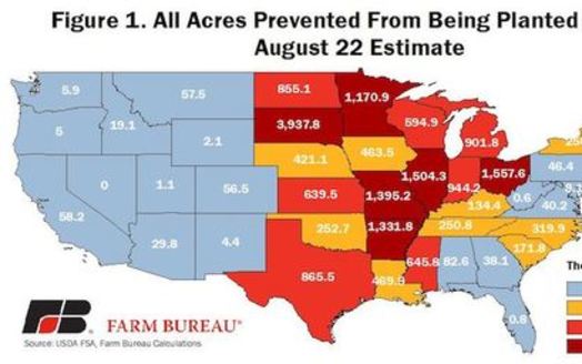 Flooding across the Midwest in 2019 made this year's corn planting the longest delayed in U.S. history. (farmbureau.org)