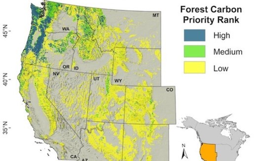 Preserving forests in the Northwest would be the equivalent of not burning fossil fuels for eight years in the Western United States, a study has found. (Oregon State University)