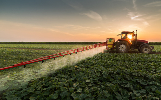 Research has shown pesticide exposure can cause birth defects, infertility and cancer. (Adobe Stock)<br />