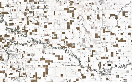 The brown squares on this satellite image indicate the areas of unharvested corn in an otherwise snowy North Dakota landscape. (NASA Earth Observatory) 