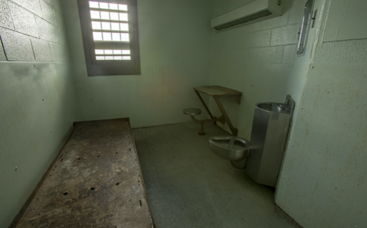 Solitary confinement can have detrimental effects on the developing brains of young people, studies have found. (karenfoleyphoto/Adobe Stock)