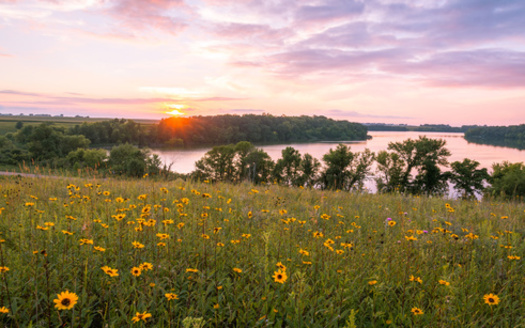 A leading conservation group says Minnesota has a number of landscapes that could help plant and animal species thrive despite the threat of climate change. (Adobe Stock)