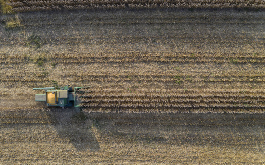 Climate change is projected to adversely impact nationwide yields of corn, soybeans, rice, sorghum, cotton, oats, and other crops. (Adobe Stock) 