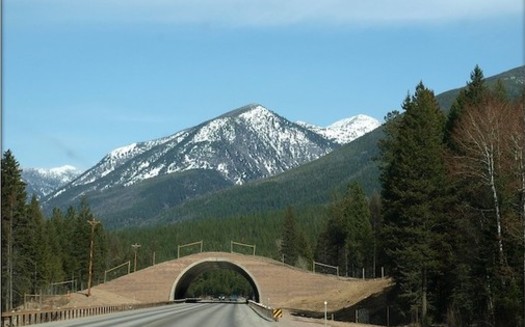The NEPA review process led to the installation of wildlife crossing bridges on important wildlife corridor in Montana. (photogramma1/Flickr)