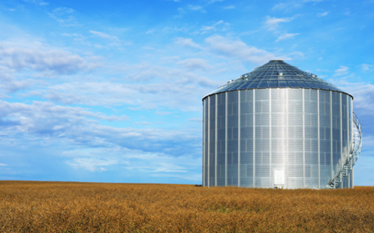 In addition to Minnesota officials, U.S. Agriculture Secretary Sonny Perdue has voiced concerns over safety issues in grain bins. (Adobe Stock)