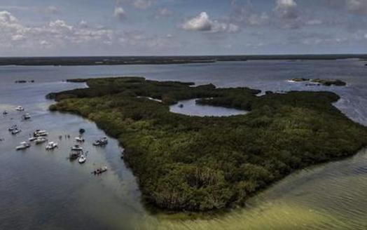 A new bill to create an aquatic preserve on the coasts of Citrus, Hernando and Pasco counties would become the 42nd such preserve in Florida. (Charlie Shoemaker/The Pew Charitable Trusts)