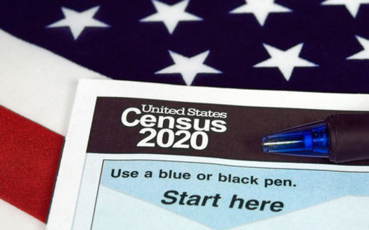 Families who have not filled out their census forms by mid-May will receive paper forms in the mail and could be contacted by Census Bureau workers. (Driftwood/Adobe Stock)
