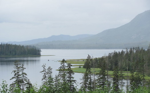 A timber harvest plan would have covered 1.8 million acres of land on Prince of Wales Island in the Tongass National Forest. (Steve Sadowski/Flickr)