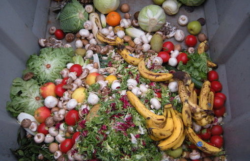Even without a pandemic that has caused panic buying at the grocery store, it's estimated that about 40% of food produced for human consumption is never eaten and ends up in landfills where it breaks down and emits methane. (wikipedia.org)