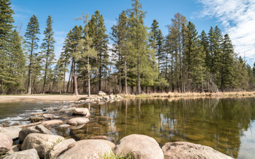 Conservation groups hope that any bonding bill this year will include more money to protect Minnesota's natural resources, such as the Mississippi River headwaters. (Adobe Stock)