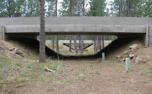 Wildlife crossings for U.S. Highway 97 in central Oregon could serve as templates for the rest of the state. (Simon Wray/ODFW)