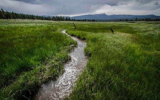 New Mexico, New Hampshire and Massachusetts lack state regulations to control discharges into rivers and streams, making them completely dependent on federal clean-water protections. (riograndesierraclub.org)