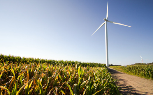 According to one trade group, Iowa has more than 9,000 wind-energy jobs. (Adobe Stock)
