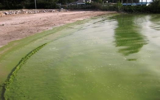 Toxic algae is an annual problem in the western basin of Lake Erie. (NOAA/Flickr)