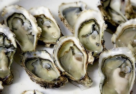 The Gulf of Mexico historically has been the largest producer of oysters in the nation. (photo-graphe/Pixabay)