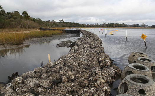Living shorelines such as this oyster reef barrier in North Carolina protect against erosion while providing habitats for wildlife. (U.S. Marine Corps)