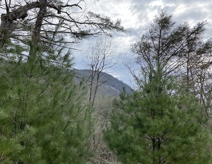 View of Satulah Mountain from the Brushy Face Trail in Highlands, N.C. (Highlands Cashiers Land Trust)