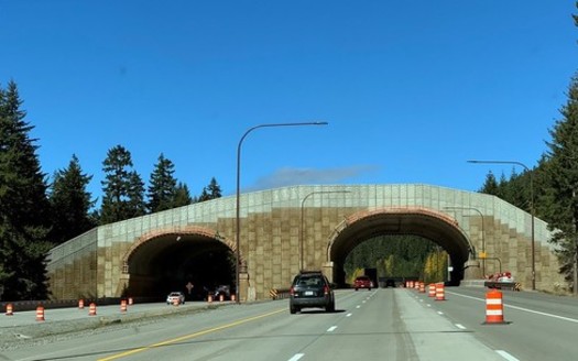 The Washington State Department of Transportation has completed a wildlife crossing on I-90 near Snoqualmie Pass. (WSDOT/Flickr)