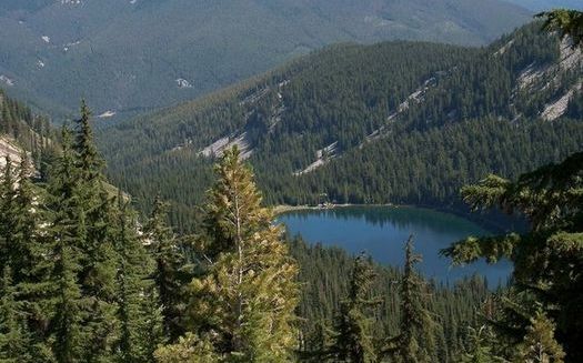 The Idaho Panhandle National Forest has a $141 million maintenance backlog. (Greg Tensmeyer/U.S. Forest Service)