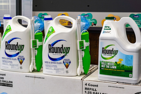 Researchers estimated 18.9 billion pounds of glyphosate, the key ingredient in the weed killer Roundup, have been used globally. (Adobe Stock)