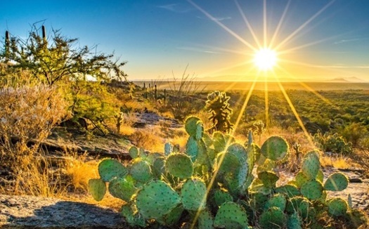 The number of days in Arizona with extreme heat - at or above 110 degrees - was 24 in 2019, up by more than 60% since the 1970s. (Nate Hovee/Adobe Stock)