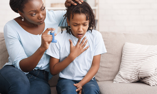 Exposure to particulate matter air pollution is associated with the increased use of asthma medication in children. (Adobe Stock)