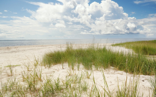 Millions of vacationers flock to North Carolina's Outer Banks each year. (Adobe Stock)