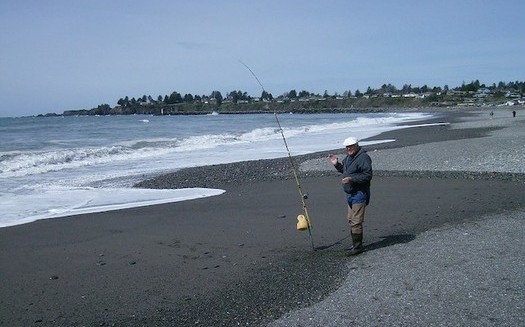 Coastal-restoration projects in Oregon would improve watersheds for fish. (Joseph Hunkins/Flickr)