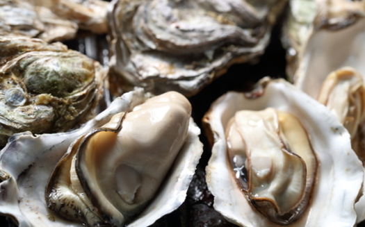 Restaurant shutdowns during the COVID-19 pandemic have impacted the Chesapeake Bay oyster industry as well as local communities dependent on fishing and tourism. (Adobe Stock)