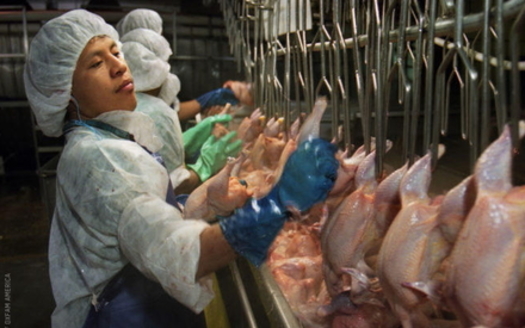 Virginia's new workplace safety rules are expected to help poultry workers who have been hit hard by coronavirus outbreaks. (Earl Dotter/Oxfam America)<br /><br />