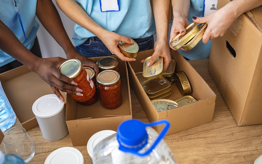 Indiana's food banks distributed more than 12 million pounds of food in June. (Adobe Stock)