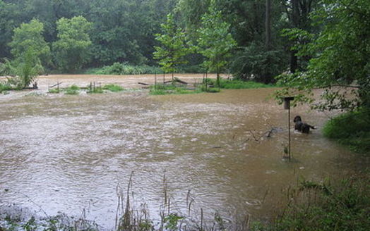 More flooding is just one of the effects of severe weather events seen in Virginia in the last 20 years. (Wikimedia Commons)