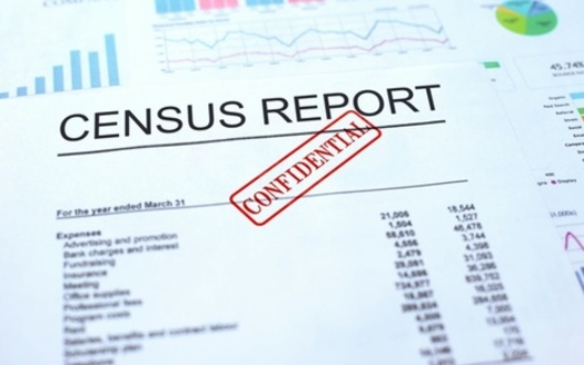 A leaked document shows concerns from within the Census Bureau that a shortened timeline for counting could result in serious errors. (AdobeStock)