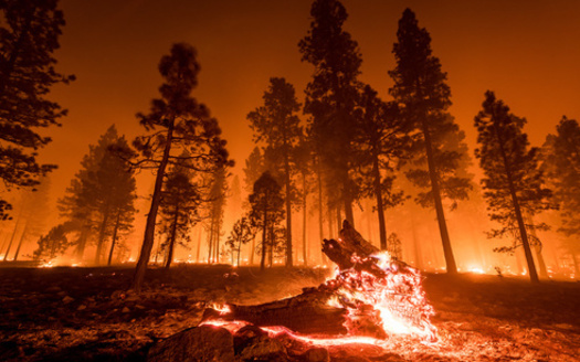Some activists say with all the destruction seen from wildfires this year, the nation could be reaching a turning point in getting through to climate change deniers. But President Donald Trump is still not publicly linking the two issues. (Adobe Stock)