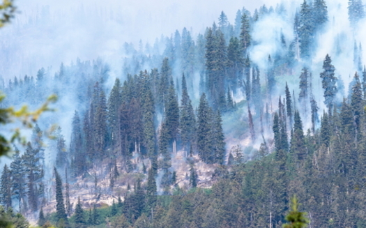 Montana's new climate-change report addresses the health impacts of global warming, including poor air quality from more wildfire smoke. (Adobe Stock)