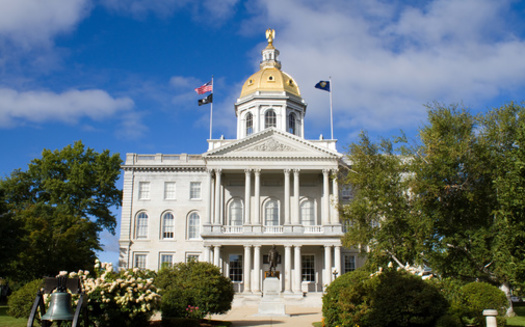 According to the National Conference of State Legislatures, at least one chamber of the New Hampshire Legislature has flipped parties in six of the past eight elections. (sframe/Adobe Stock)