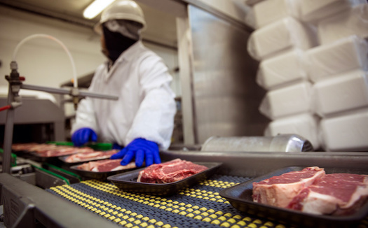 Hundreds of workers contracted COVID-19 at the second largest pork-processing plant in the country. (Adobe Stock)