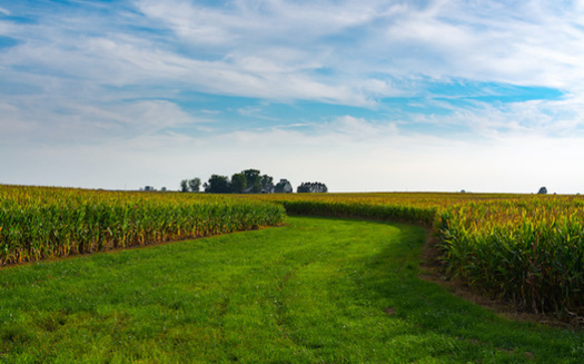 Illinois farmers are experiencing rainier springs and drier summers because of the changing climate. (EJRodriquez/Adobe Stock)