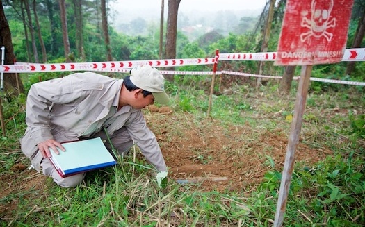 The organization PeaceTrees Vietnam clears 18 to 20 mines a day in the central part of the country. (PeaceTrees Vietnam)