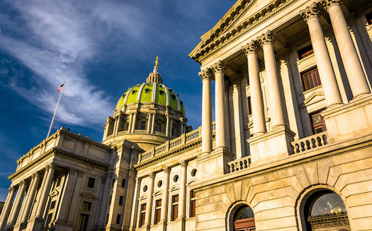 A 73-word ballot question proposed multiple changes to the state constitution. (jonbilous/Adobe Stock)