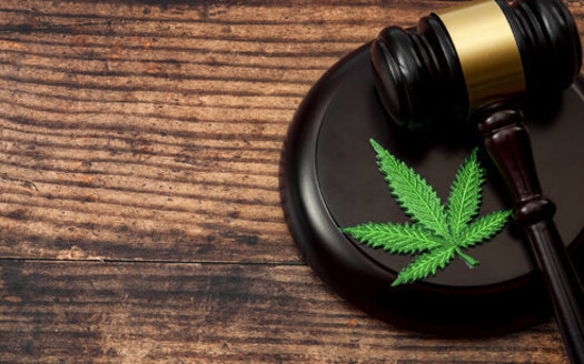Last fall, South Dakota became the first state to endorse two marijuana ballot questions in the same election. One was for a medical cannabis program and the other was to legalize recreational use for those 21 and older. (Adobe Stock)